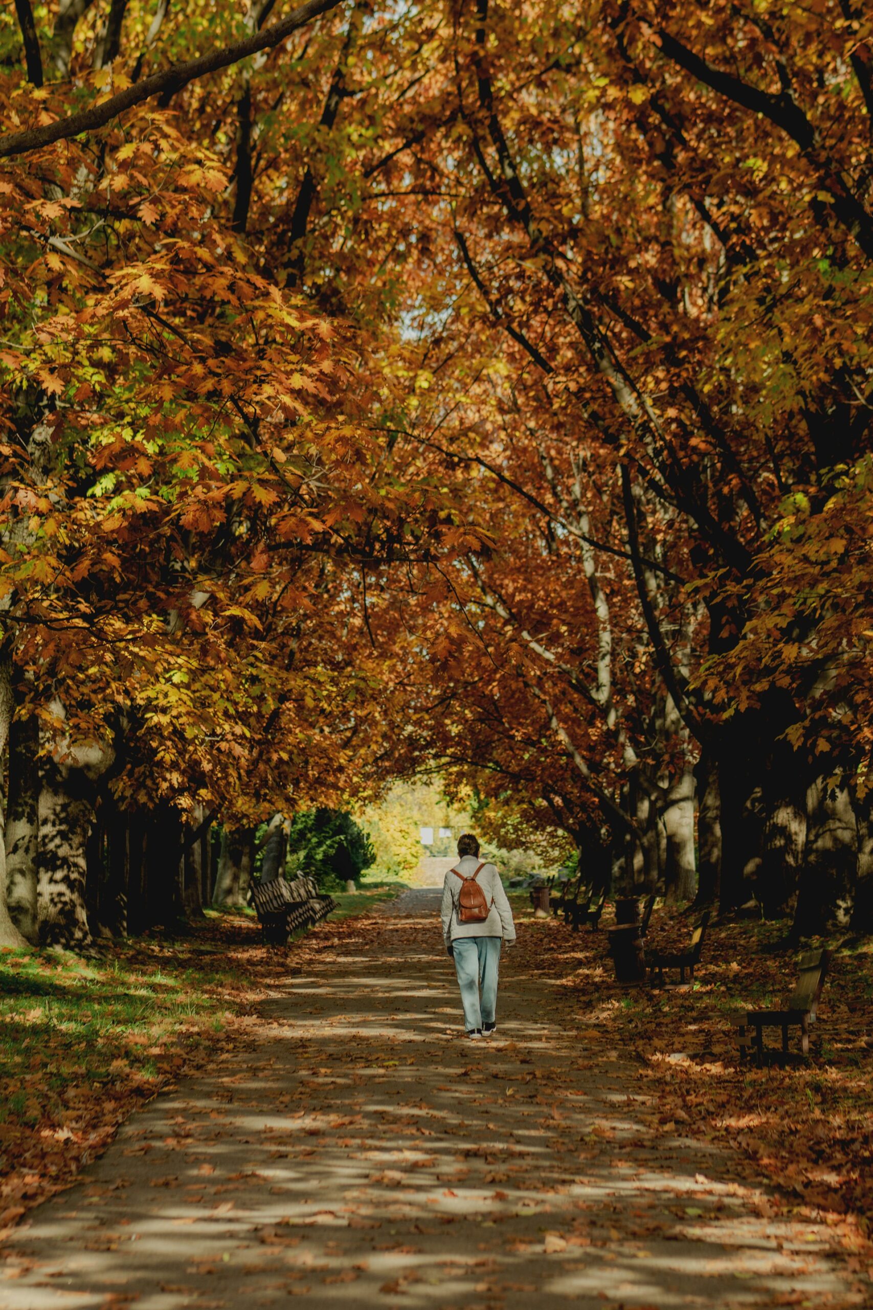 Langkah Tenang: Menikmati Setiap Momen Saat Berjalan